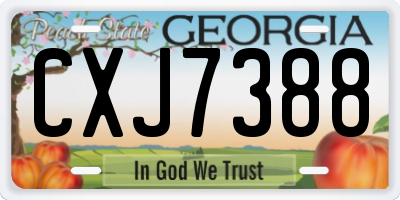 GA license plate CXJ7388