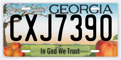 GA license plate CXJ7390