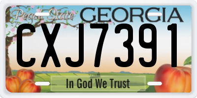 GA license plate CXJ7391