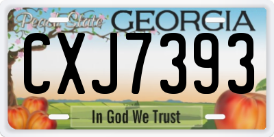 GA license plate CXJ7393