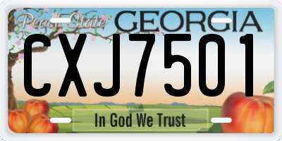 GA license plate CXJ7501