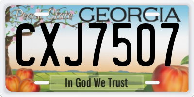 GA license plate CXJ7507