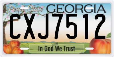 GA license plate CXJ7512