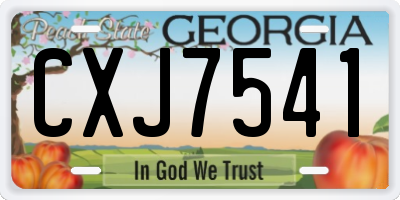 GA license plate CXJ7541