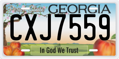 GA license plate CXJ7559