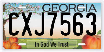 GA license plate CXJ7563