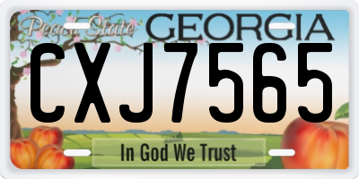 GA license plate CXJ7565