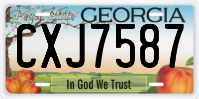 GA license plate CXJ7587