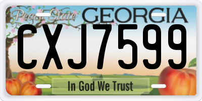 GA license plate CXJ7599