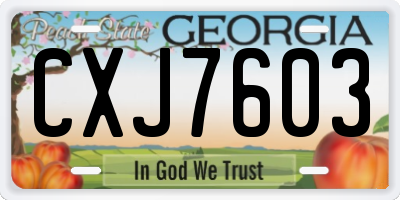 GA license plate CXJ7603