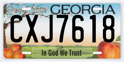 GA license plate CXJ7618