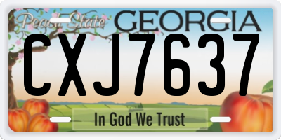 GA license plate CXJ7637