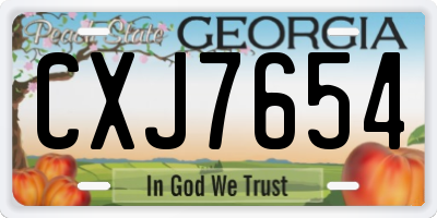 GA license plate CXJ7654