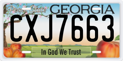 GA license plate CXJ7663