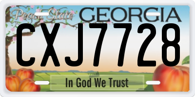 GA license plate CXJ7728