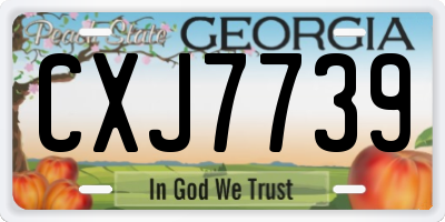 GA license plate CXJ7739