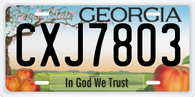GA license plate CXJ7803