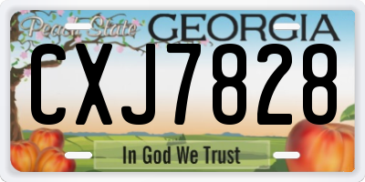 GA license plate CXJ7828
