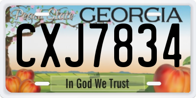 GA license plate CXJ7834