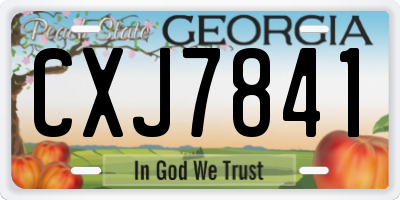 GA license plate CXJ7841