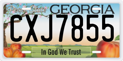 GA license plate CXJ7855