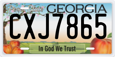 GA license plate CXJ7865