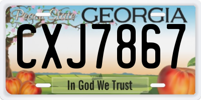 GA license plate CXJ7867