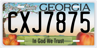 GA license plate CXJ7875