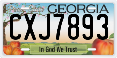 GA license plate CXJ7893