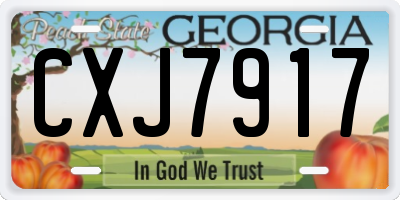GA license plate CXJ7917