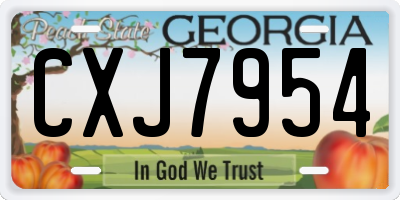 GA license plate CXJ7954
