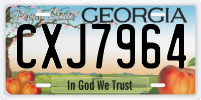 GA license plate CXJ7964