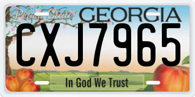 GA license plate CXJ7965