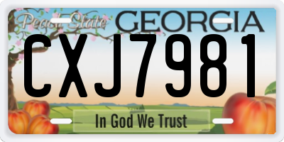 GA license plate CXJ7981