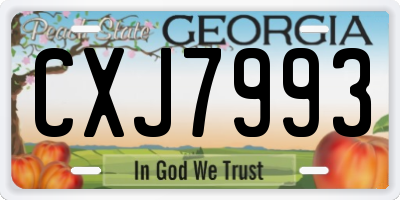 GA license plate CXJ7993