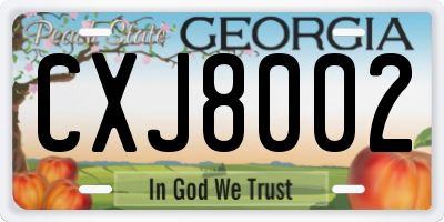GA license plate CXJ8002