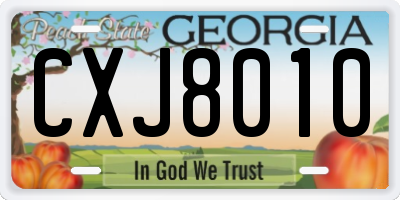 GA license plate CXJ8010