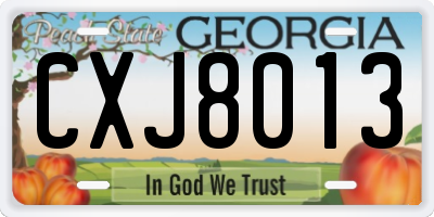 GA license plate CXJ8013