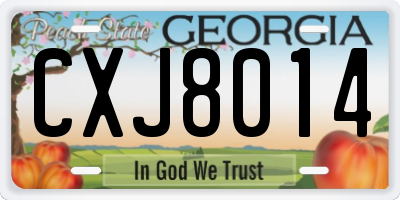 GA license plate CXJ8014