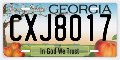 GA license plate CXJ8017