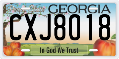 GA license plate CXJ8018