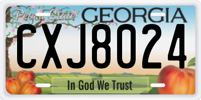 GA license plate CXJ8024