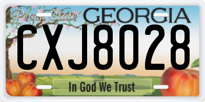 GA license plate CXJ8028