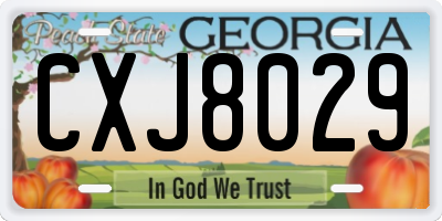 GA license plate CXJ8029
