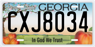 GA license plate CXJ8034