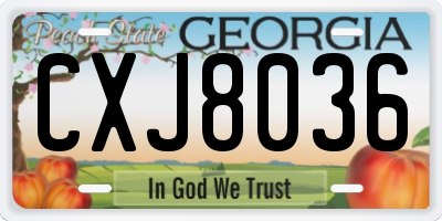GA license plate CXJ8036