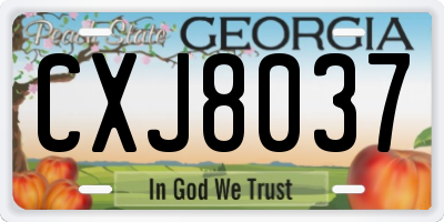 GA license plate CXJ8037