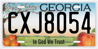 GA license plate CXJ8054