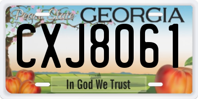 GA license plate CXJ8061