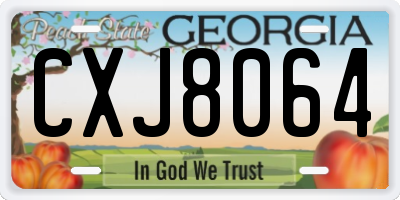 GA license plate CXJ8064